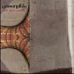 Amorphis album Am Universum