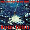Nick Cave and The Bad Seeds album Murder Ballads