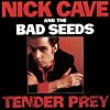 Nick Cave and The Bad Seeds album Tender Pray