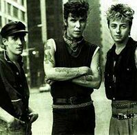 Stray Cats