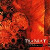 Tiamat album Wildhoney